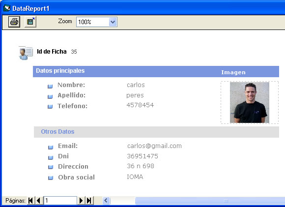 vista previa del datareport con la ficha del cliente y sus datos