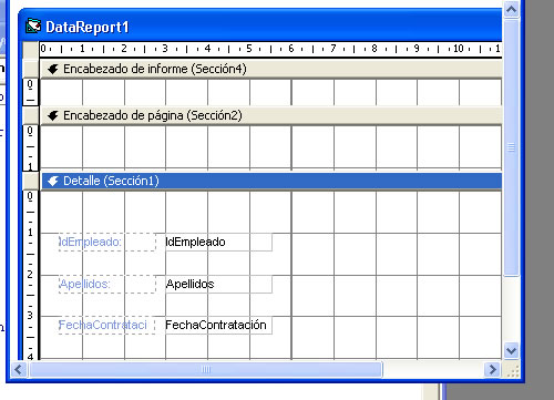vista previa del reporte con los campos