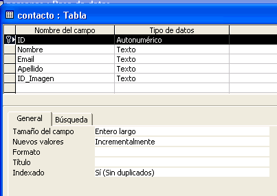 vista de la tabla en modo diseño
