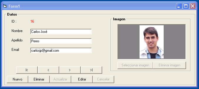 vista del formulario con los controles necesarios para el ejemplo