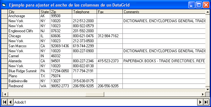 Vista del ejemplo en visual basic para ajustar el ancho de las columnas de un control DataGrid