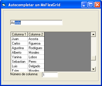 vista del formulario para poder autocompletar el FlexGRid