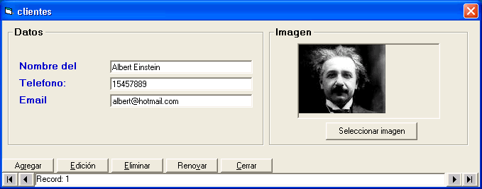 vista del formulario de datos para leer y grabar gráficos e imágenes en campos de tipo OLE