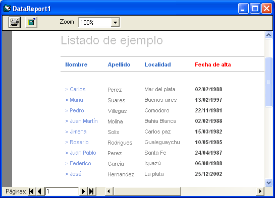 vista del datareport de ejemplo