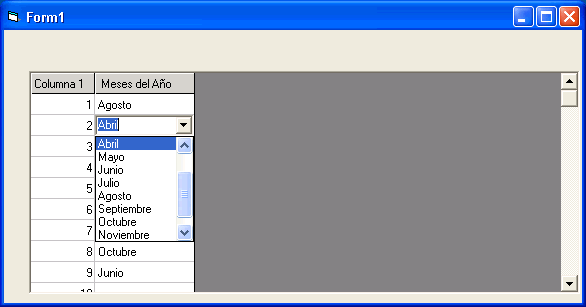 vista del formulario conel control MsFlexGrid y el combo para editar