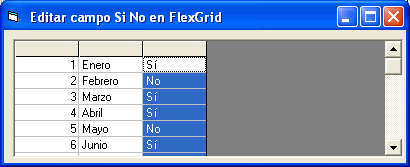 vista del FlexGrid en el formulario