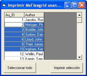 vista del formulario para imprimir los regisros seleccionados en el MsFlexgrid usando la propiedad clip