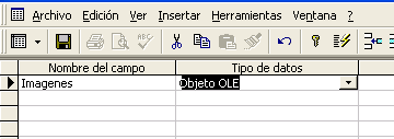 vista de diseño de Access para especificar el campo de tipo objeto OLE