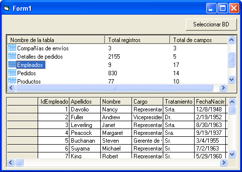 vista previa del form con los datos de la tabla, campos etc..