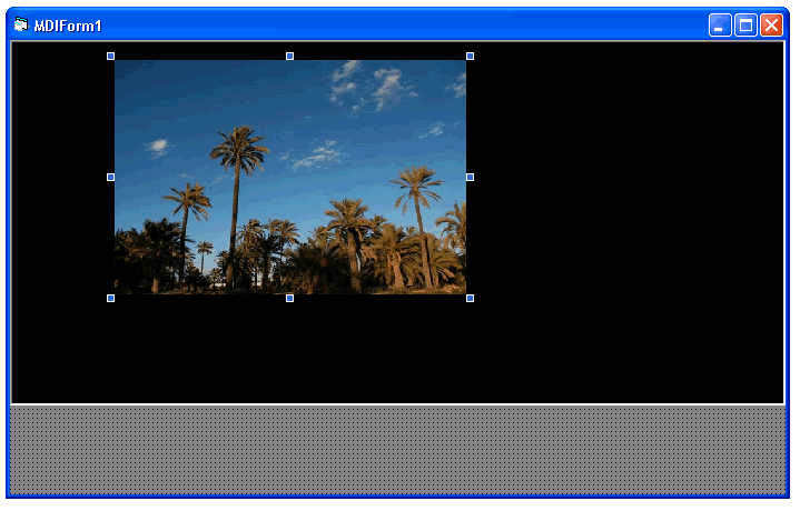 vista del proyecto con los controles pictuer, image en tiempo de diseño