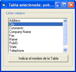 vista del formulario de visual basic para obtener los campos