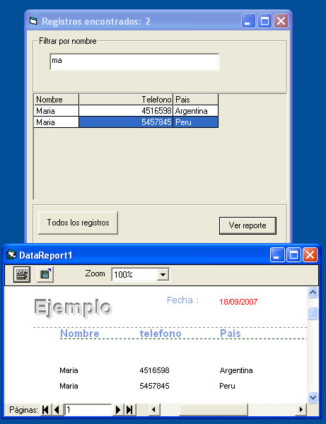 vista previa del formulario con el flexgrid y el reporte con el datareport
