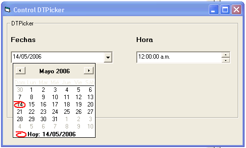 Vista previa del control DTPicker