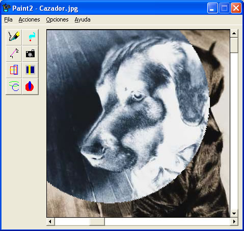 vista previa del ms paint